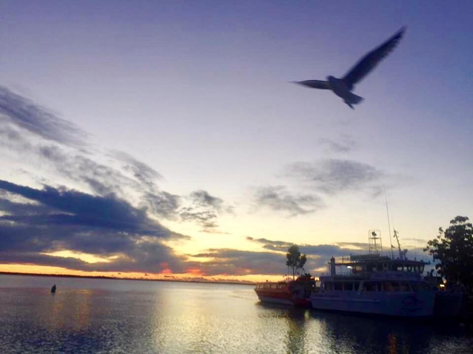Huskisson Beach Escape Bagian luar foto